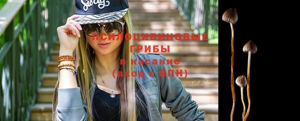 дмт Аркадак
