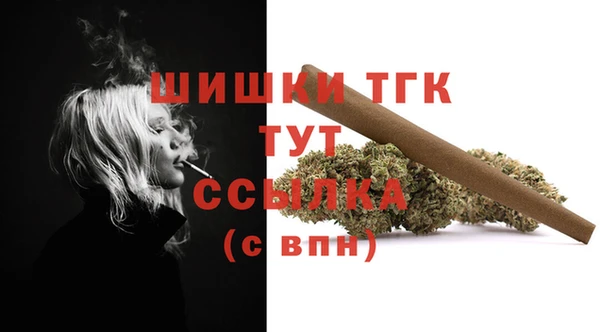 дмт Аркадак