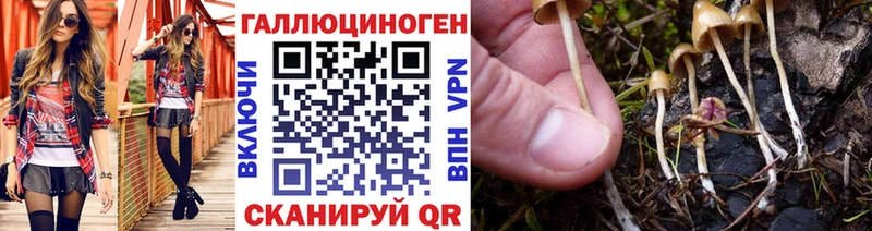 Галлюциногенные грибы GOLDEN TEACHER  площадка как зайти  Свирск  наркота 